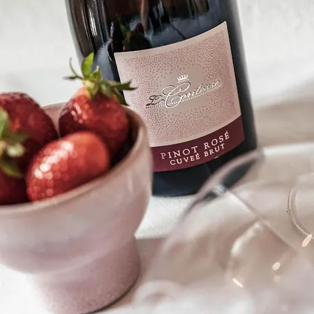 Apartament Rohrmoser *