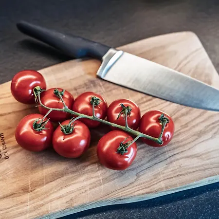 Rohrmoser Apartament Zell am Ziller